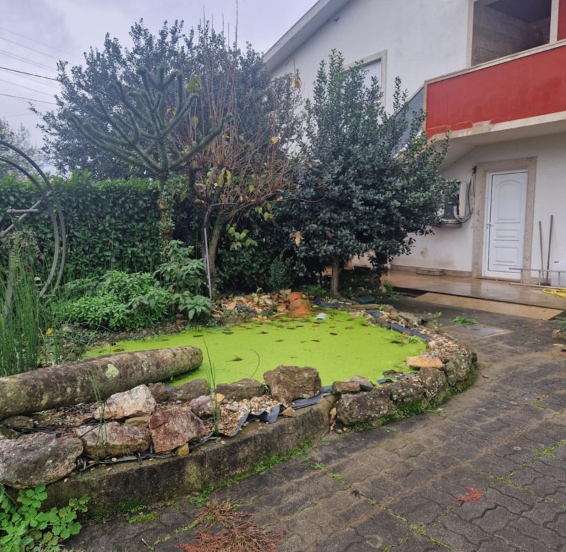 f6ff8fc9-860c-44be-beb2-107d13fc436f