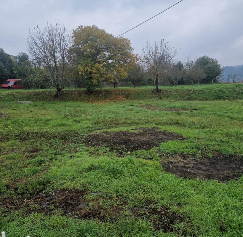 fe489008-748e-4622-a272-3dc21776c6ad